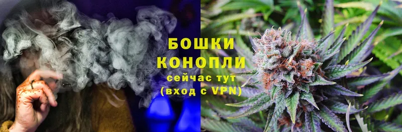 Бошки марихуана White Widow  где можно купить наркотик  blacksprut ССЫЛКА  Грязовец 